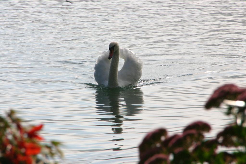 Haus Am See Sankt Kanzian am Klopeiner See Zewnętrze zdjęcie
